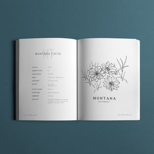 state-flowers-of-america-coloring-book-montana