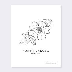 state-flowers-of-america-coloring-book-north-coloring-page