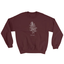Load image into Gallery viewer, TEXAS STATE FLOWER | SWEATSHIRT